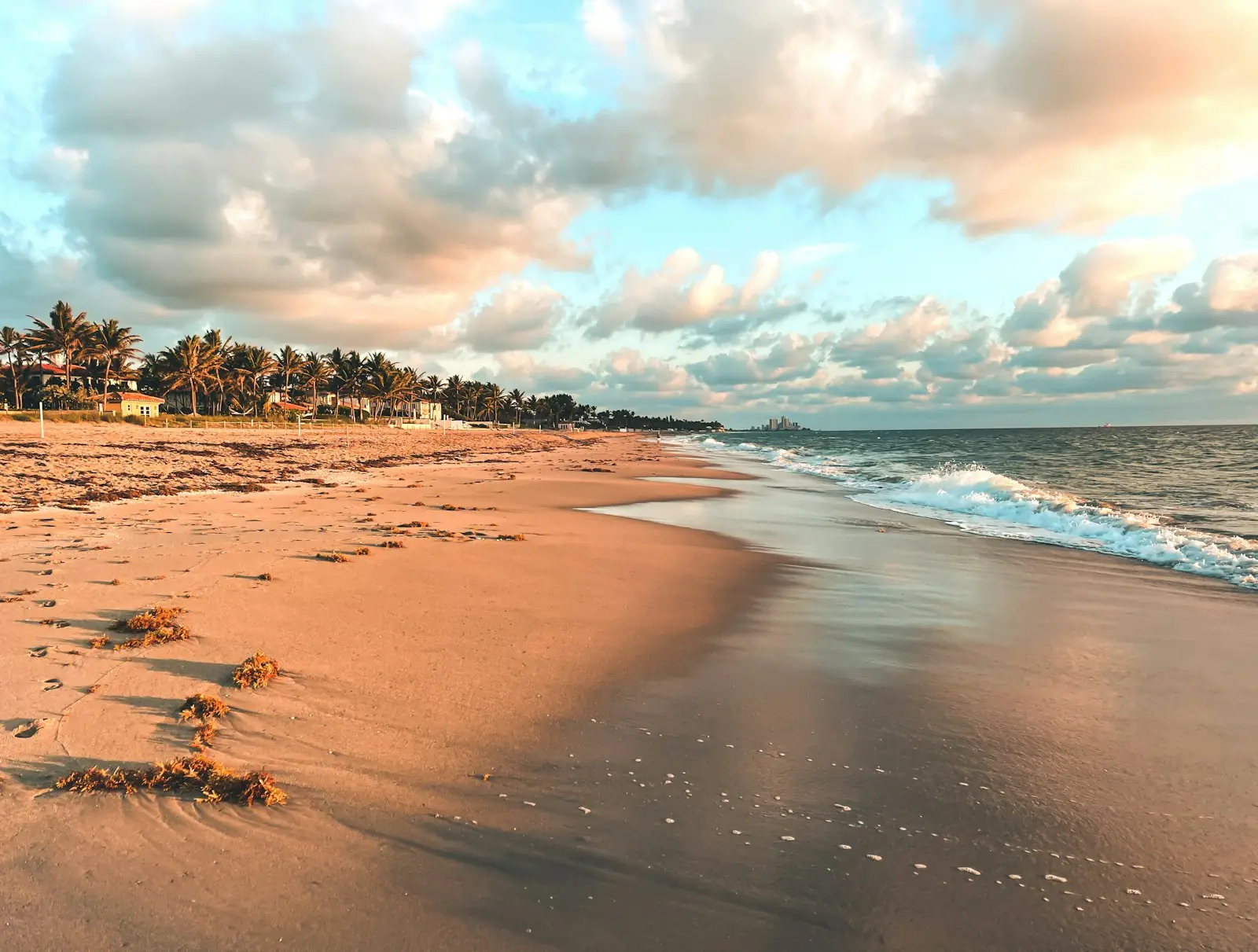 A wide sandy beach lined with palms under a pink morning sky