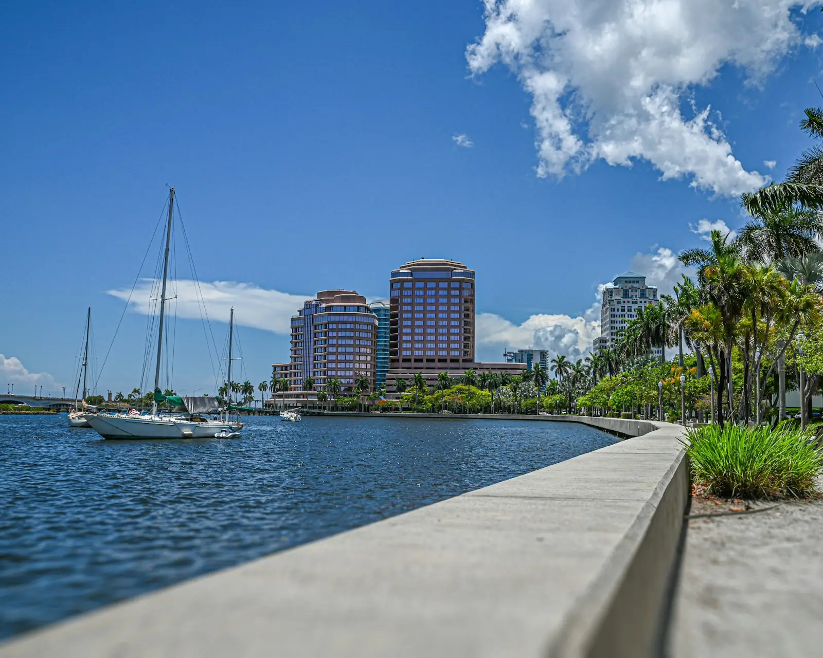 Sailboats moored off the West Palm Beach waterfront, with palms and downtown towers