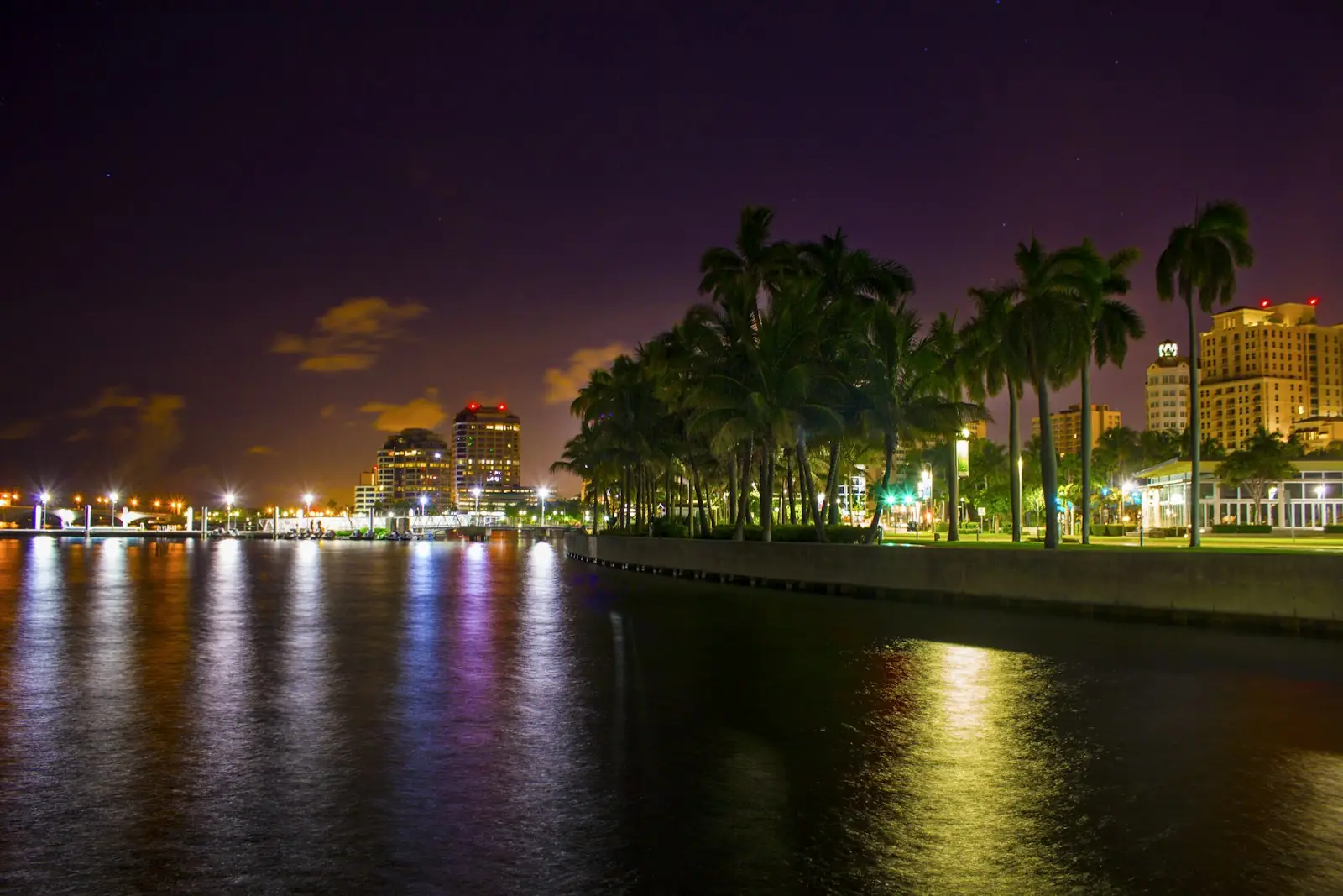 Palm trees and lit buildings reflected in calm water at night